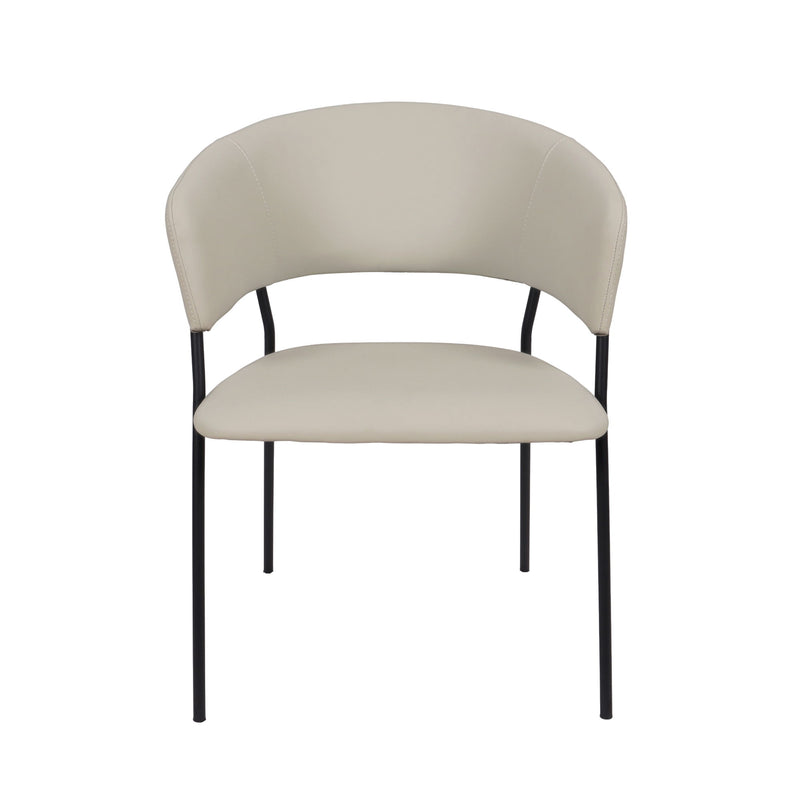 Manhattan Slate - Dining Chair (Set of 2)