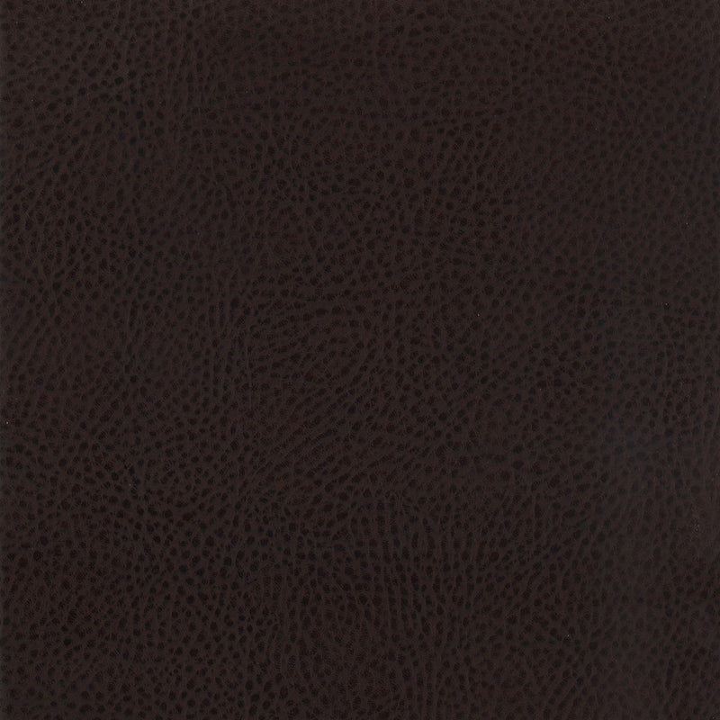 Dewey Upholstered Counter Chair Walnut (Set of 2)