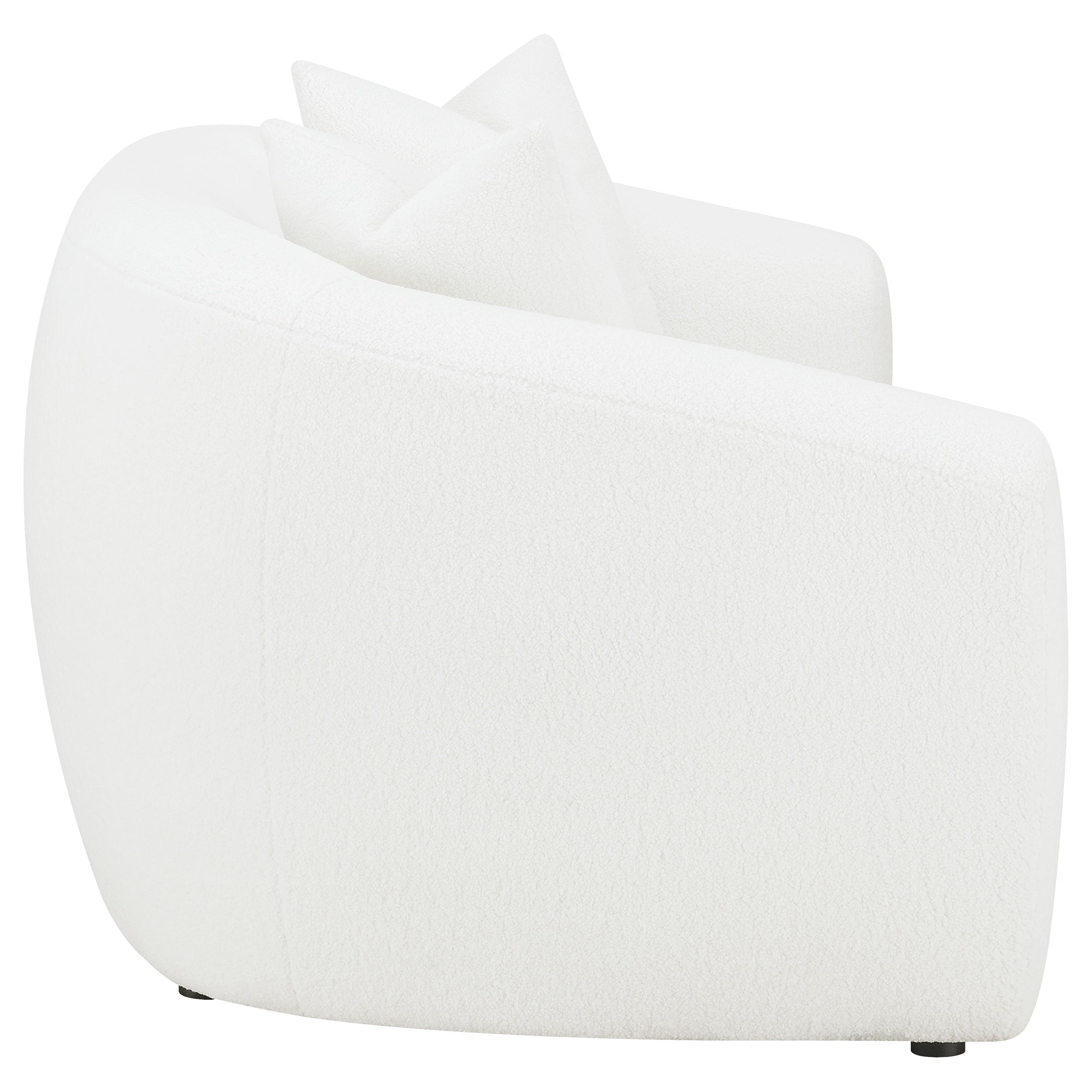 Coaster Isabella Loveseat - Thumbnail 4