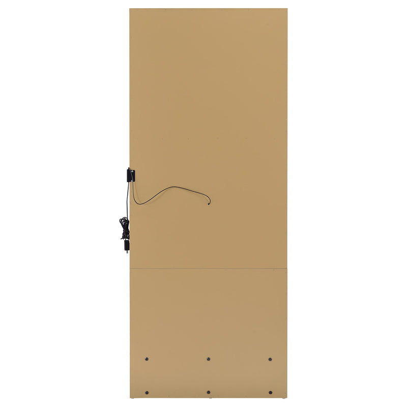 Spector 1-drawer Lighted Full-Length Floor Mirror Mango