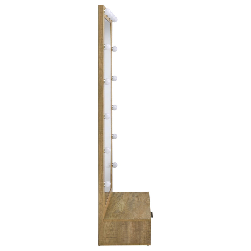 Spector 1-drawer Lighted Full-Length Floor Mirror Mango