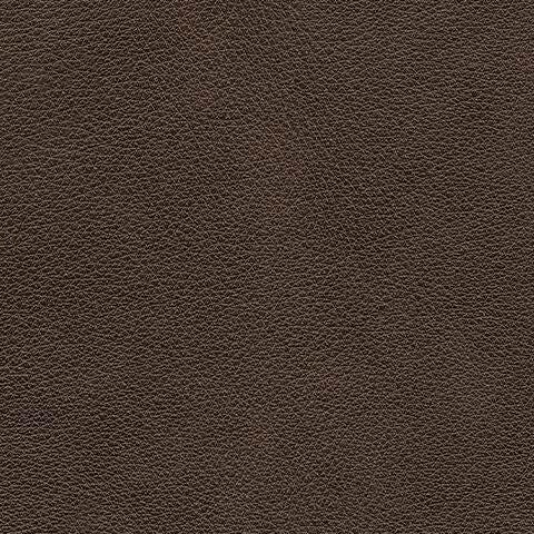Crossplex PWR REC Sofa with ADJ Headrest