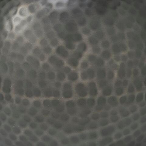 Woody Vase