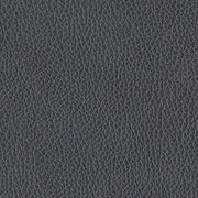 PCU1210018