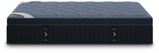 M13731
